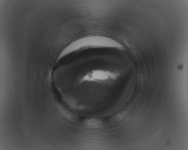 X0000094940331200712131605