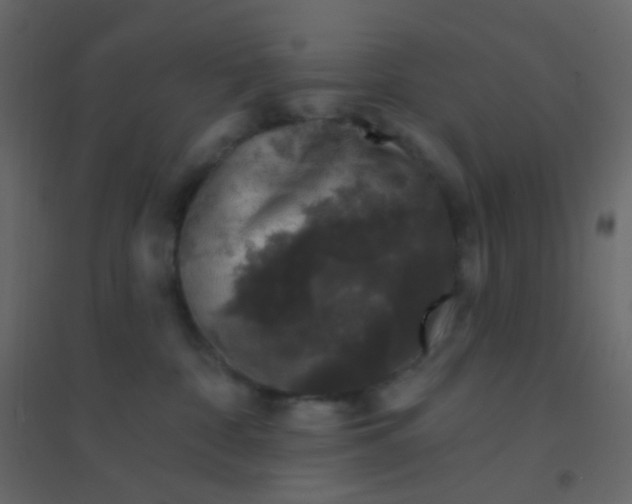 X0000094940332200712131605