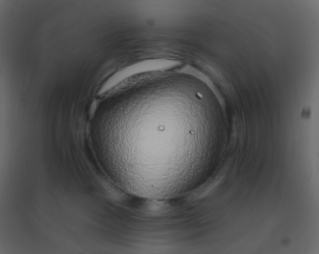 X0000094940333200712131605