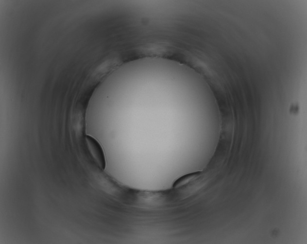 X0000094940334200712131605