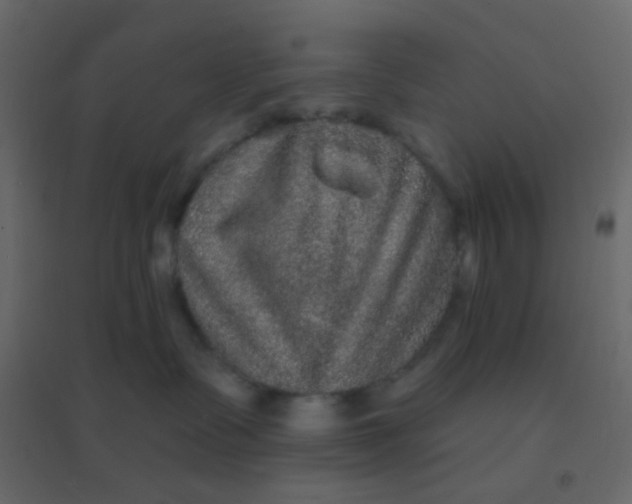 X0000094940335200712131605