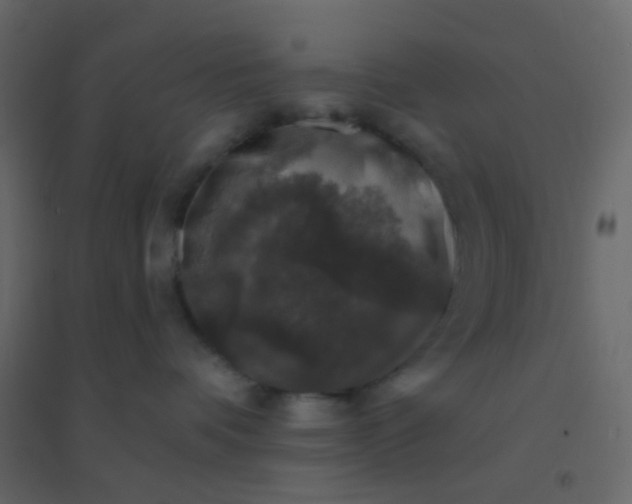 X0000094940336200712131605