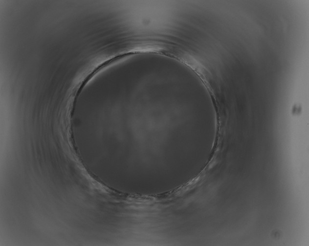 X0000094940337200712131605