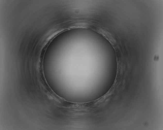 X0000094940338200712131605