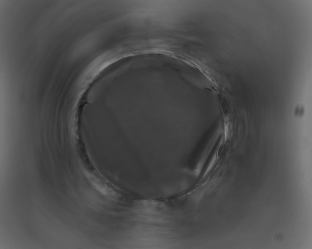 X0000094940339200712131605