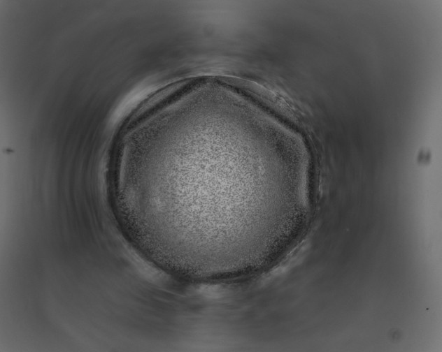 X0000094940341200712131605