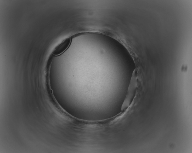 X0000094940342200712131605