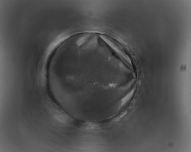 X0000094940343200712131605