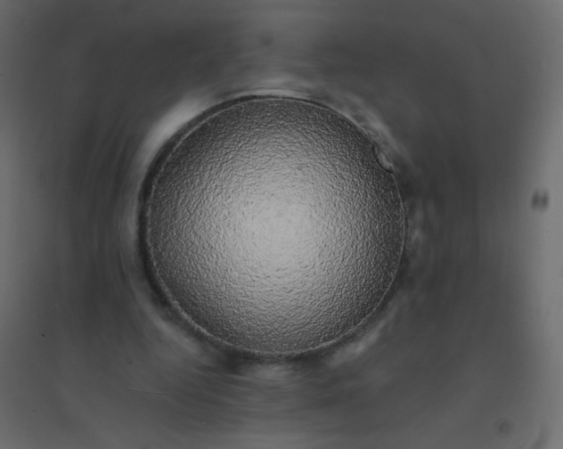 X0000094940344200712131605