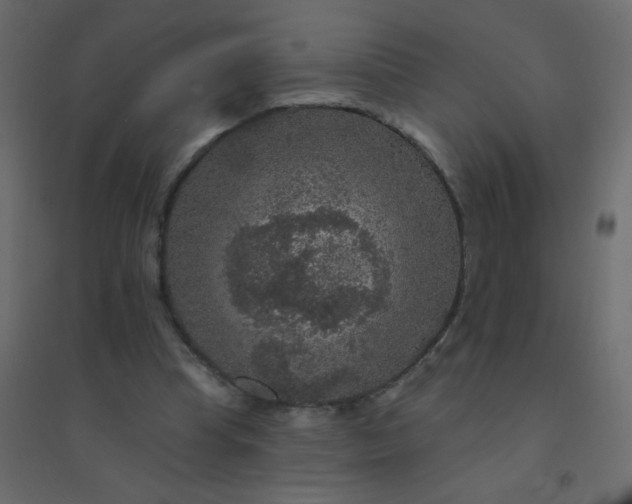 X0000094940345200712131605