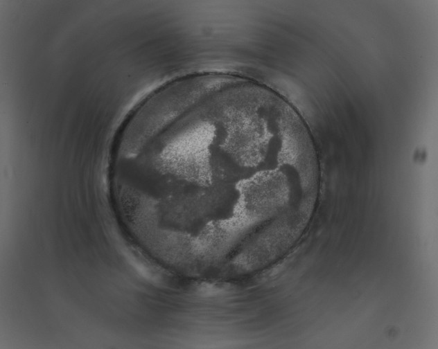 X0000094940346200712131605