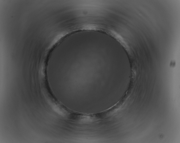 X0000094940347200712131605