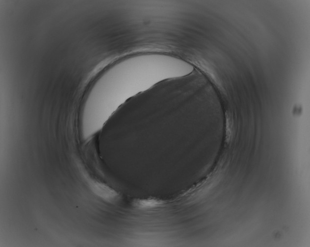 X0000094940348200712131605