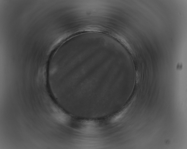 X0000094940349200712131605