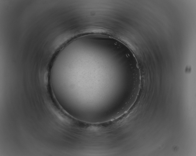 X0000094940350200712131605