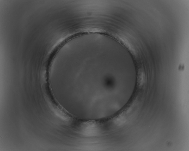 X0000094940351200712131605