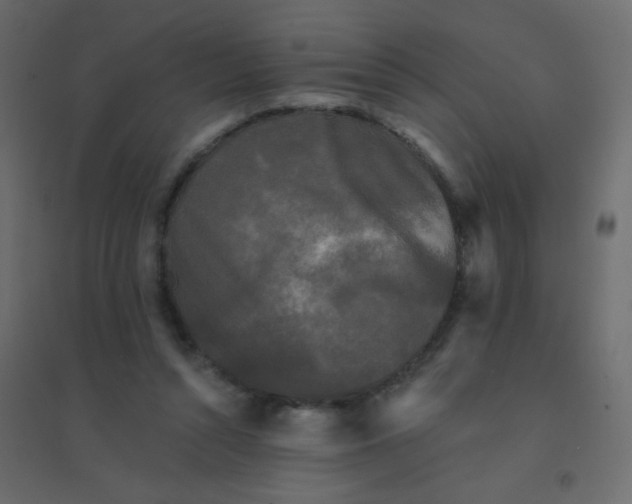 X0000094940352200712131605