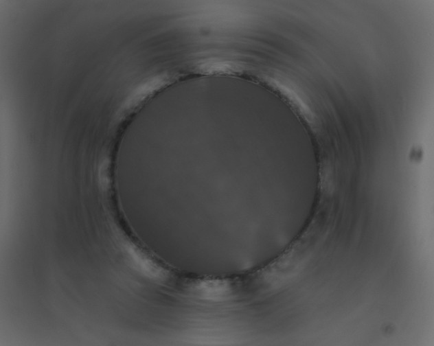 X0000094940353200712131605