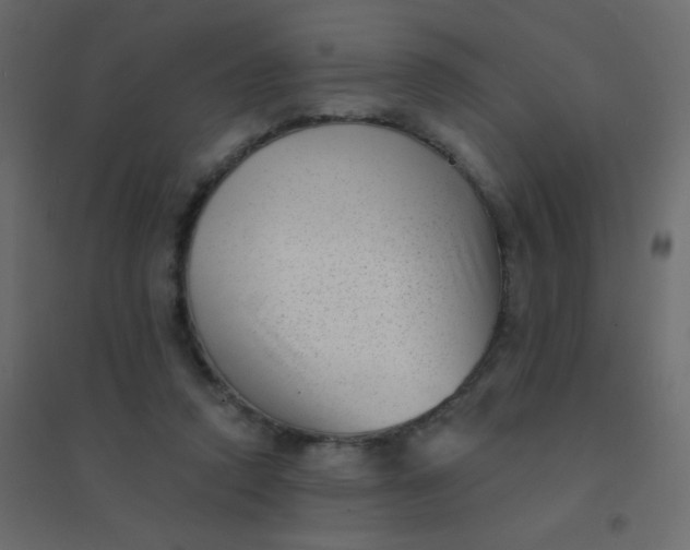 X0000094940354200712131605