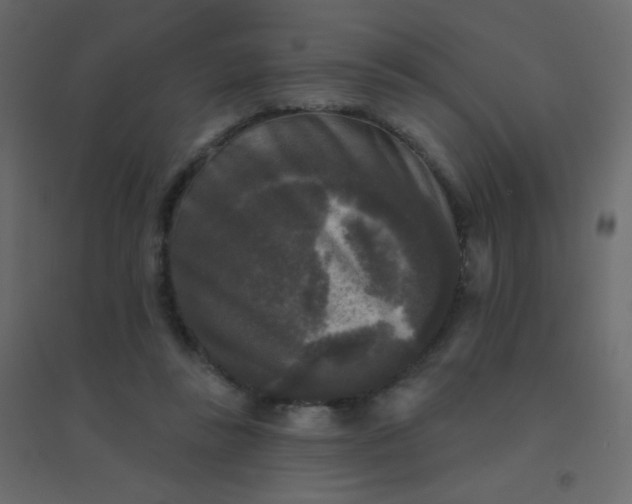 X0000094940355200712131605