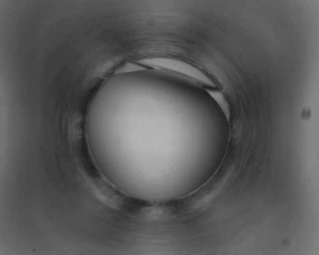 X0000094940356200712131605