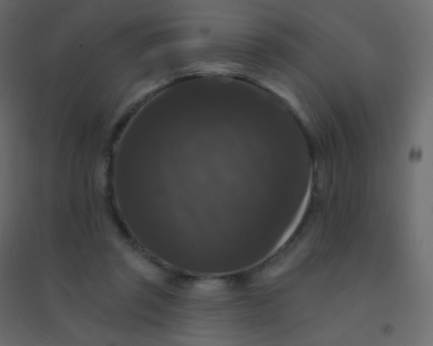 X0000094940357200712131605