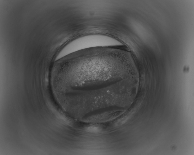 X0000094940358200712131605