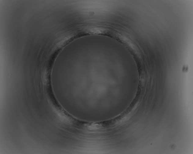 X0000094940359200712131605