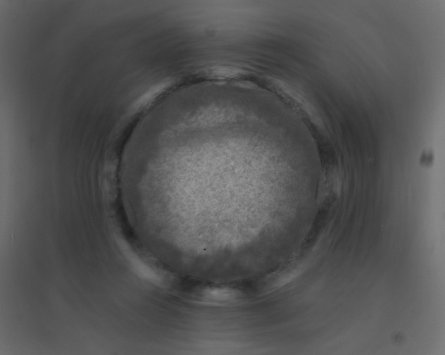 X0000094940360200712131605