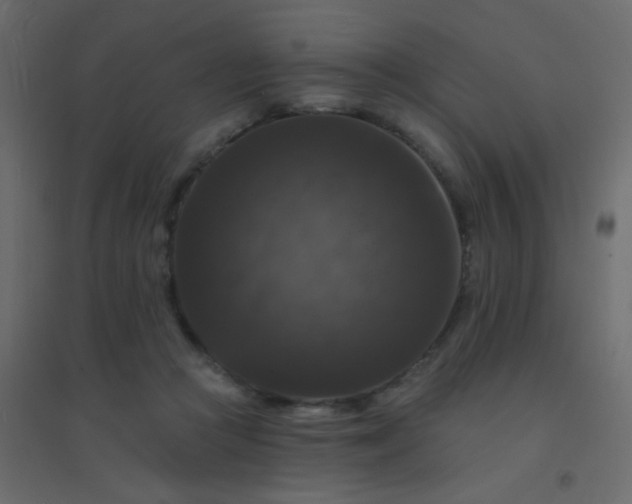 X0000094940361200712131605