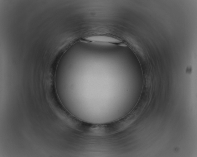 X0000094940362200712131605