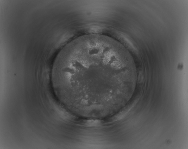 X0000094940363200712131605