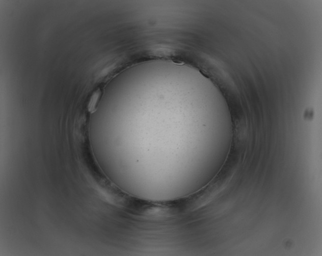 X0000094940364200712131605