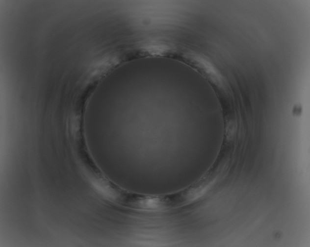 X0000094940365200712131605