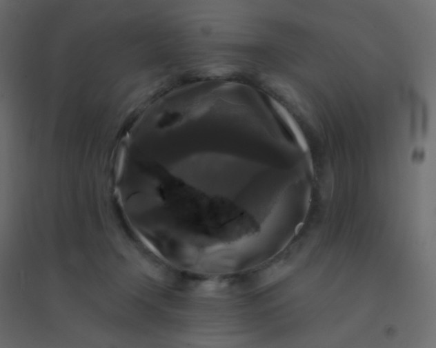 X0000094940366200712131605