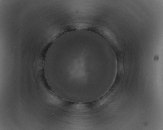 X0000094940367200712131605