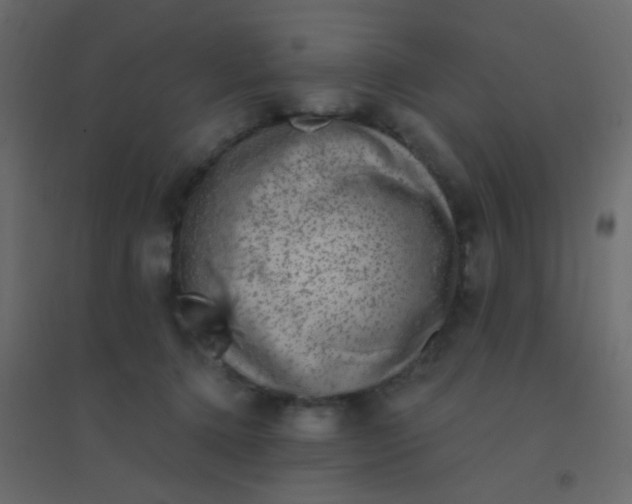 X0000094940368200712131605