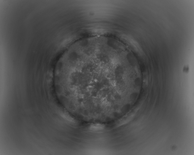 X0000094940369200712131605