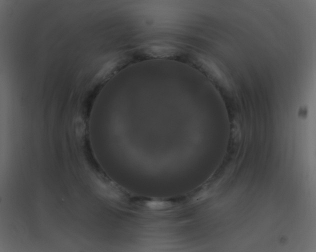 X0000094940371200712131605