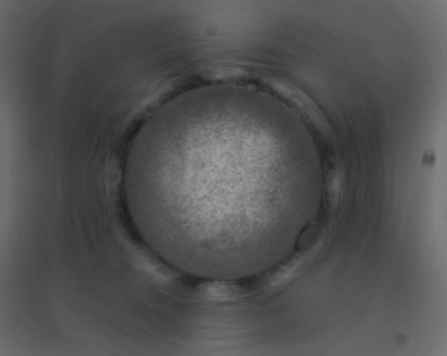 X0000094940372200712131605