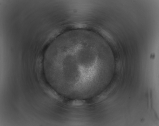 X0000094940373200712131605