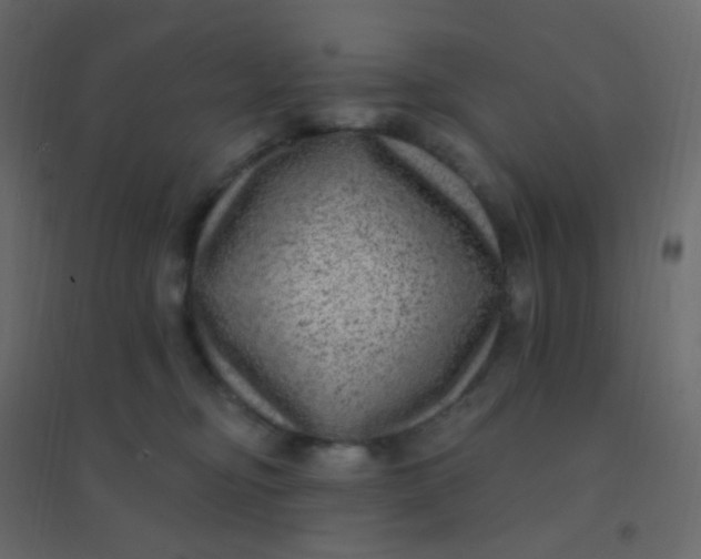 X0000094940374200712131605