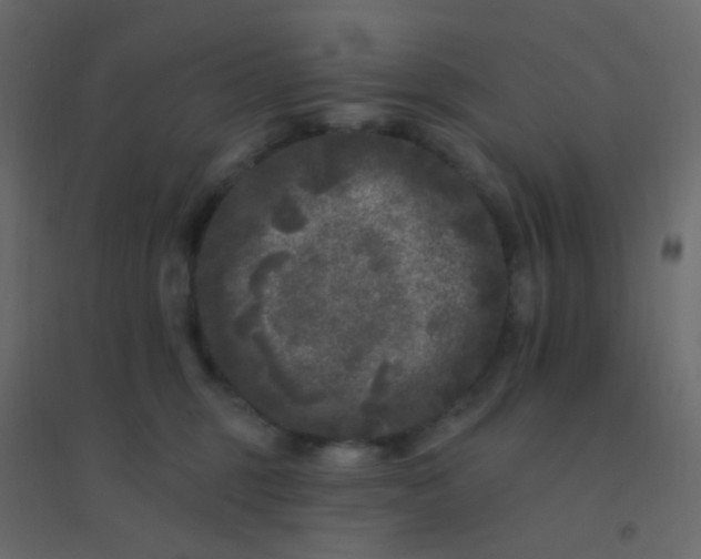 X0000094940375200712131605