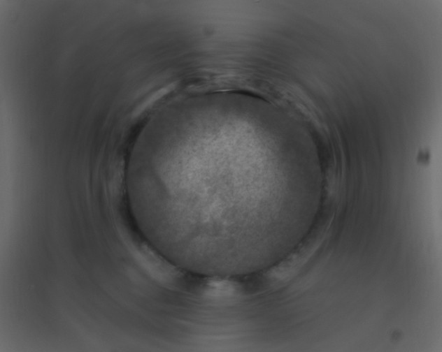 X0000094940376200712131605