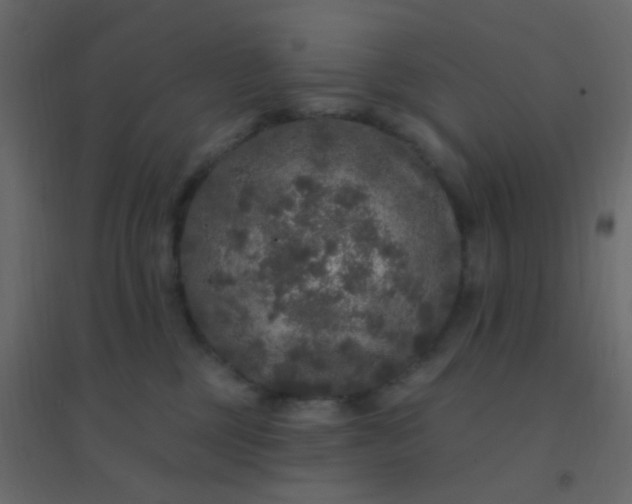 X0000094940377200712131605