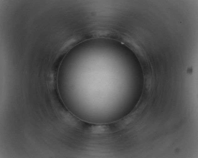 X0000094940378200712131605