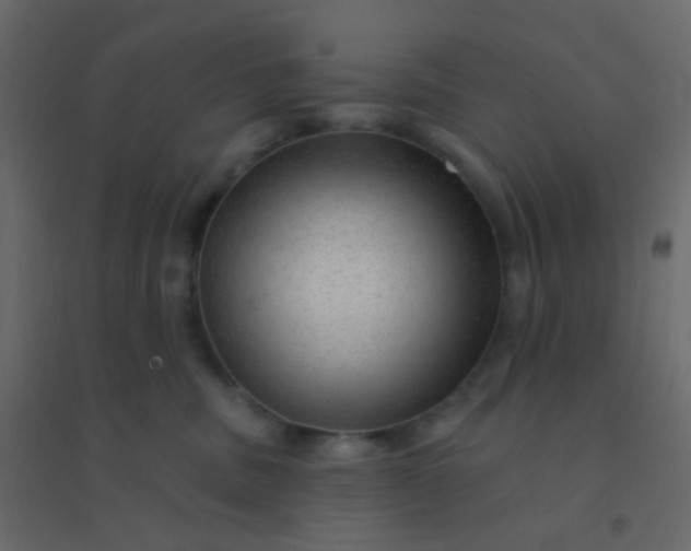 X0000094940379200712131605