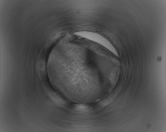 X0000094940380200712131605