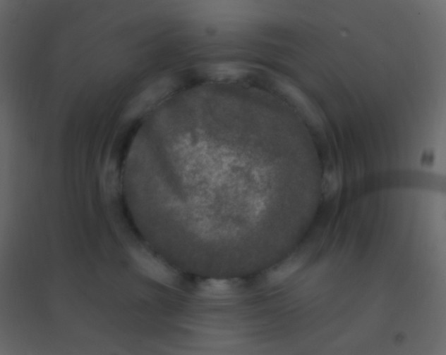 X0000094940381200712131605