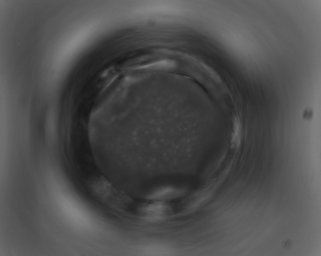 X0000094940383200712131605